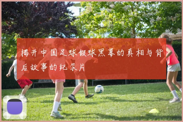 揭开中国足球假球黑幕的真相与背后故事的纪录片