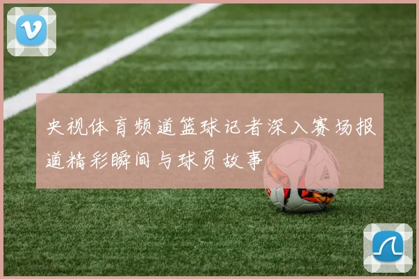 央视体育频道篮球记者深入赛场报道精彩瞬间与球员故事