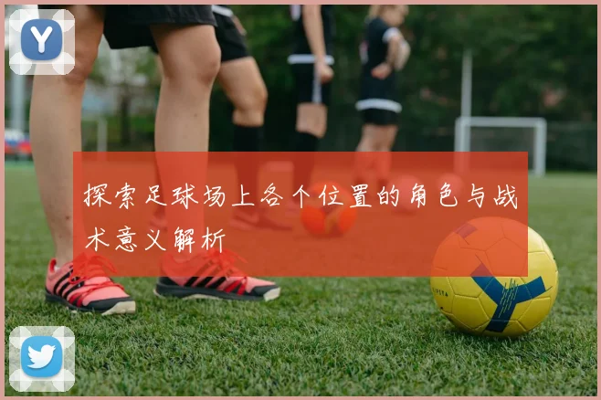 探索足球场上各个位置的角色与战术意义解析