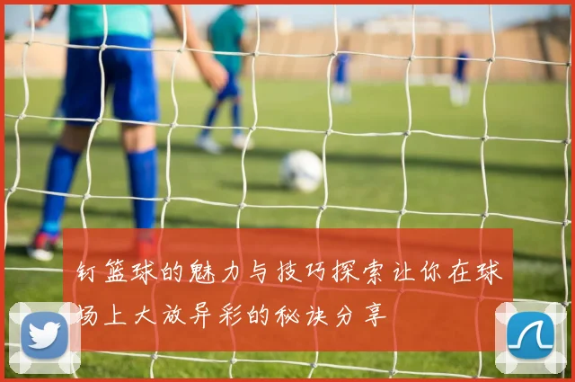 钉篮球的魅力与技巧探索让你在球场上大放异彩的秘诀分享